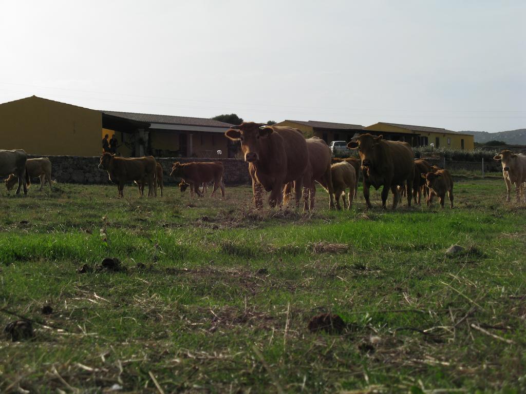 Agriturismo Lu Nodu Greuli Zewnętrze zdjęcie