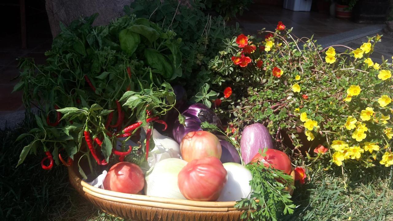 Agriturismo Lu Nodu Greuli Zewnętrze zdjęcie